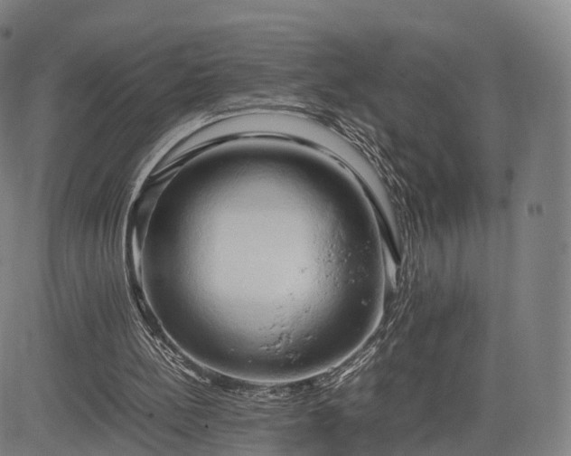 X0000083620148200702201325