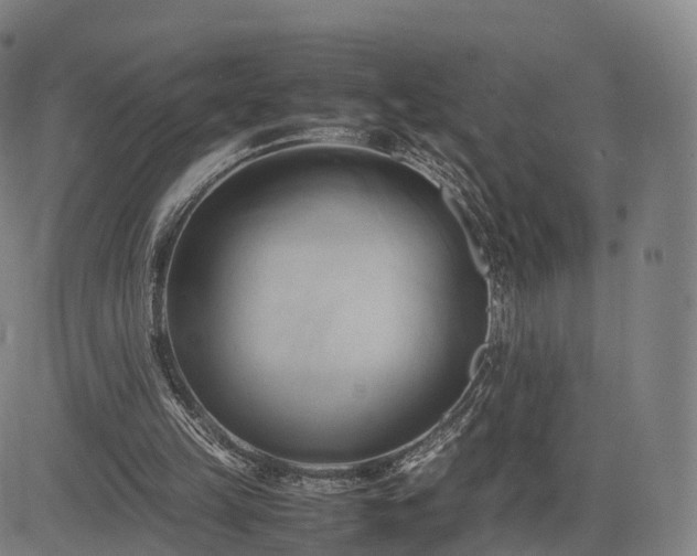 X0000083620149200702201325