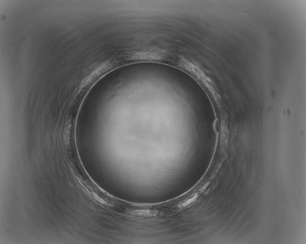 X0000083620153200702201325