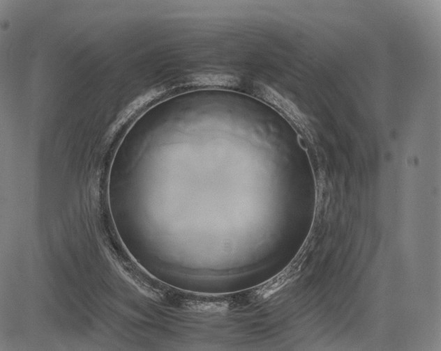 X0000083620155200702201325
