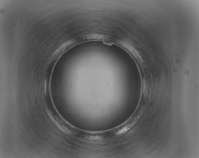 X0000083620157200702201325