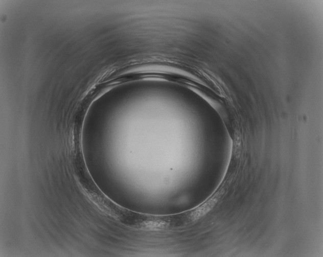 X0000083620158200702201325