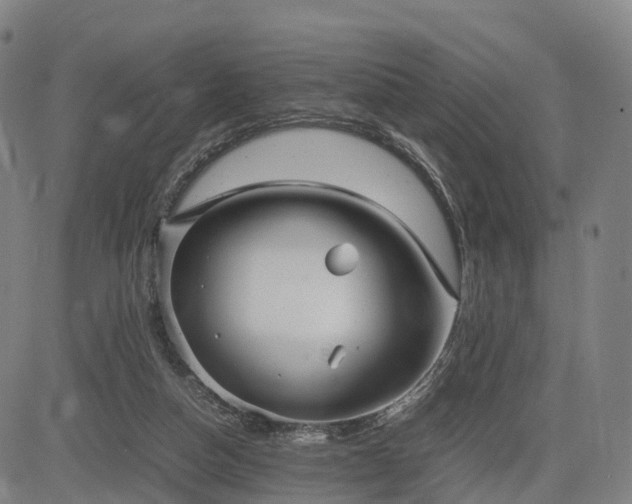 X0000083620162200702201325