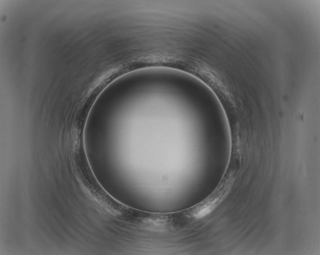 X0000083620164200702201325