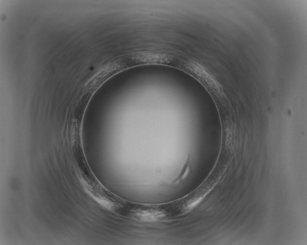 X0000083620165200702201325