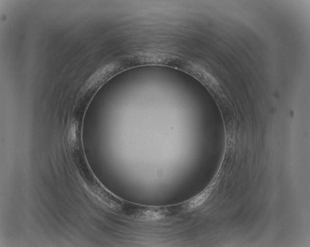 X0000083620166200702201325