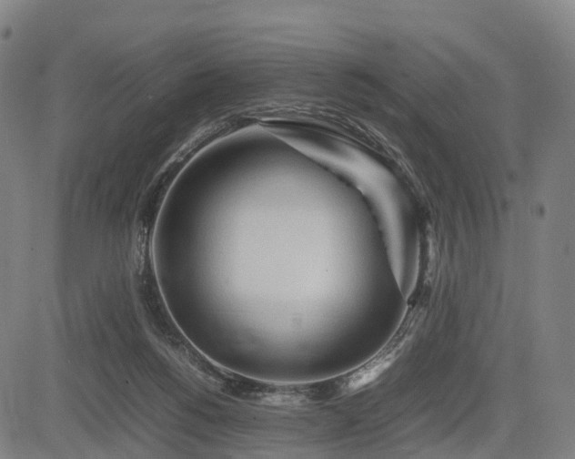 X0000083620168200702201325