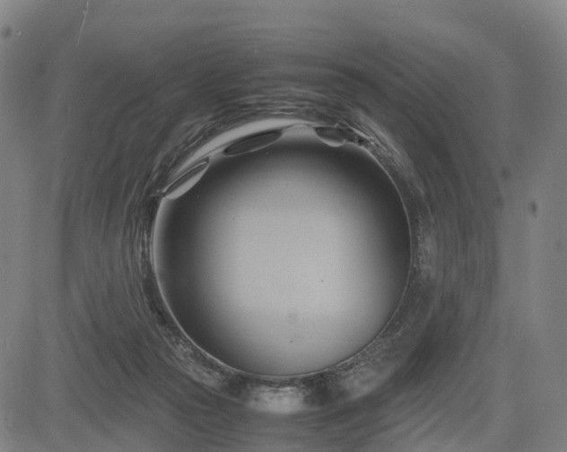 X0000083620169200702201325