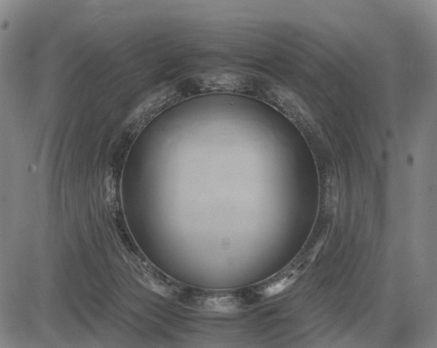 X0000083620173200702201325