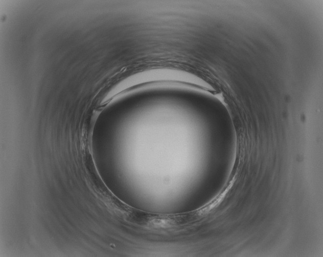 X0000083620174200702201325