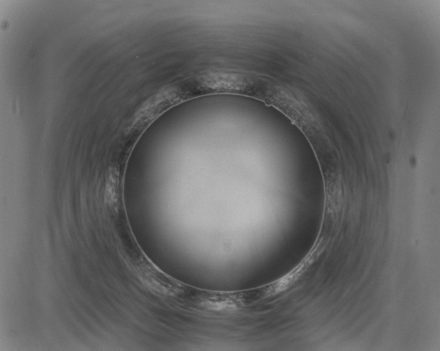 X0000083620175200702201325