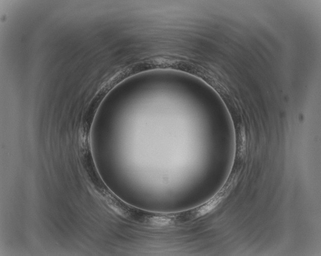 X0000083620176200702201325