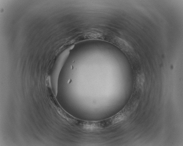 X0000083620177200702201325