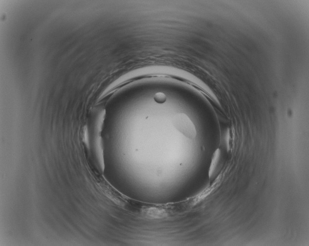 X0000083620180200702201325