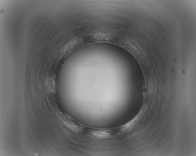 X0000083620183200702201325