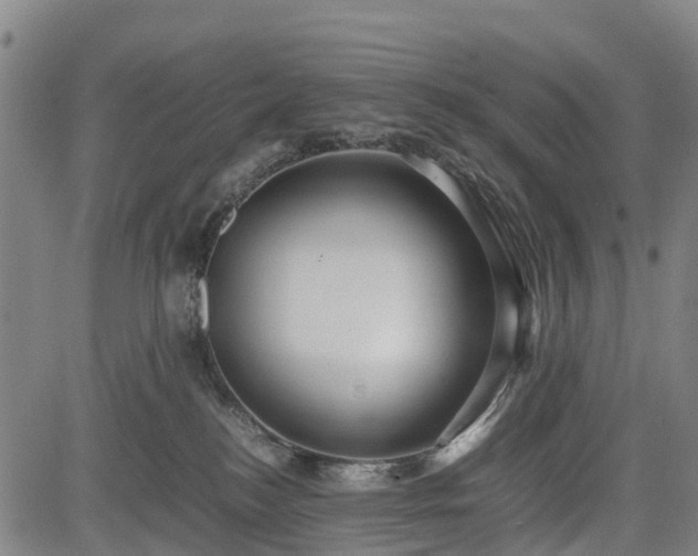 X0000083620184200702201325