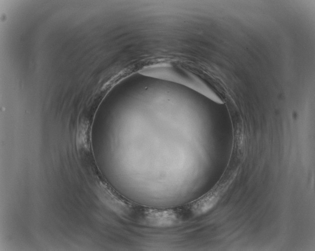 X0000083620185200702201325