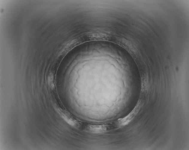 X0000083620187200702201325