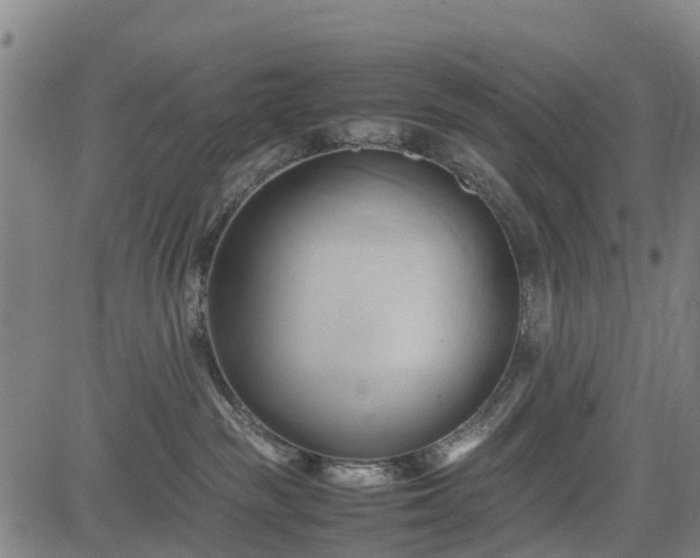 X0000083620189200702201325