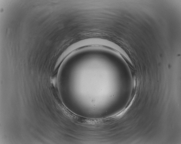 X0000083620190200702201325