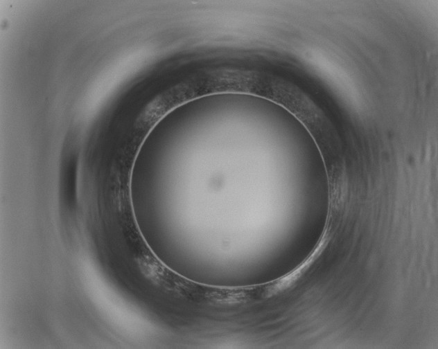 X0000083620191200702201326