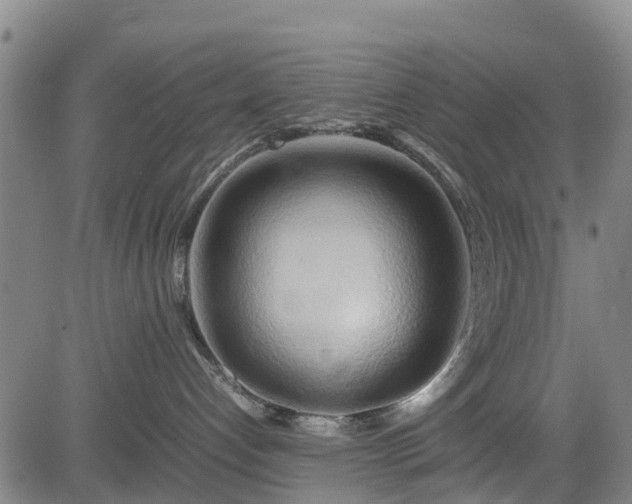 X0000083620192200702201326