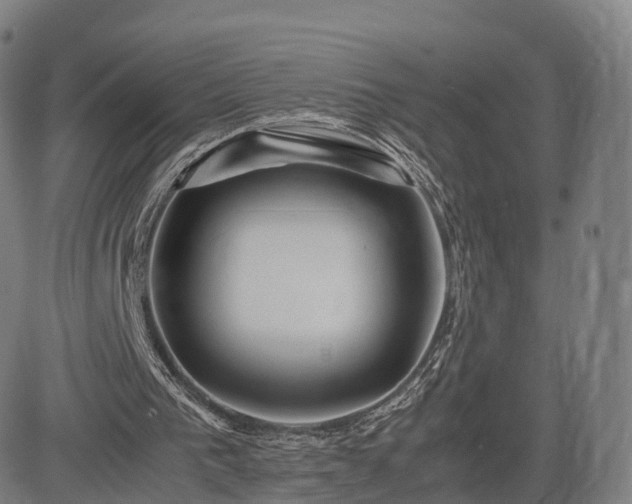 X0000083620193200702201325