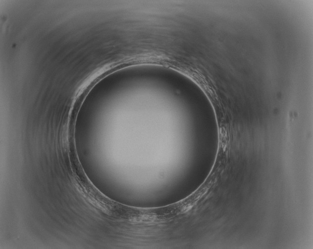 X0000083620196200702201325