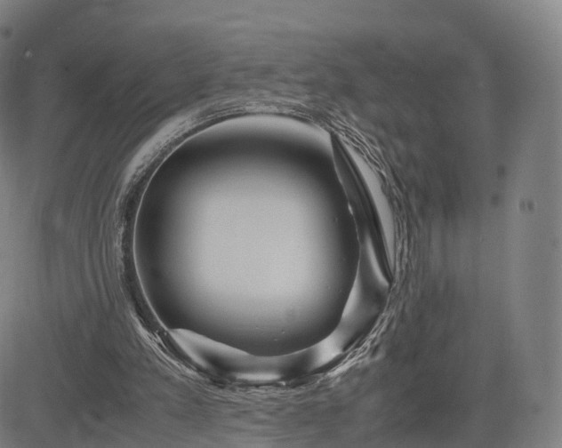 X0000083620197200702201325