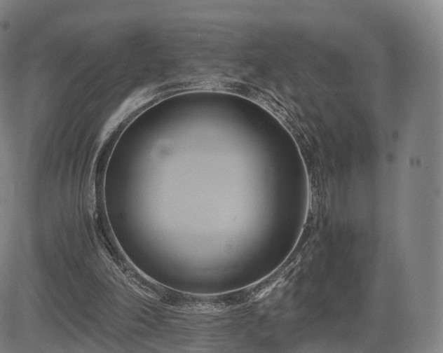 X0000083620198200702201325