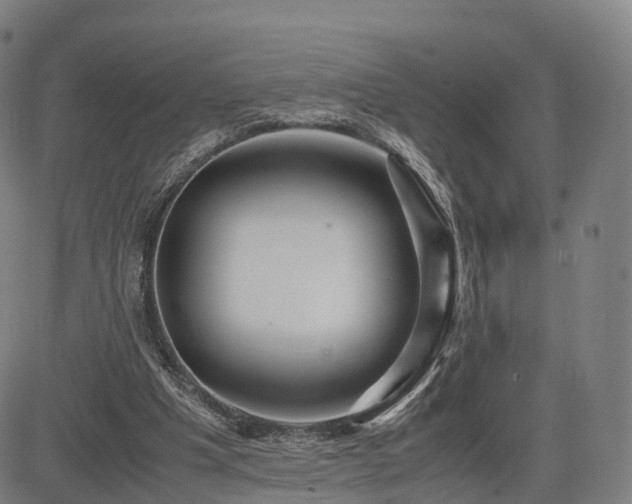 X0000083620201200702201325