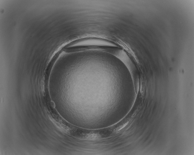 X0000083620204200702201325