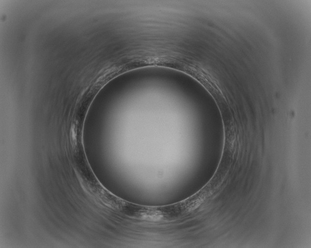 X0000083620214200702201324
