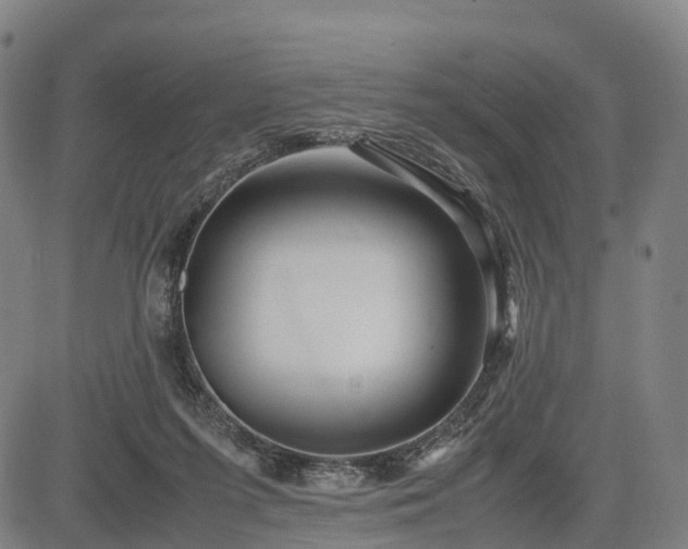 X0000083620215200702201324