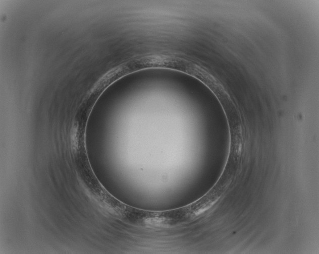 X0000083620216200702201324