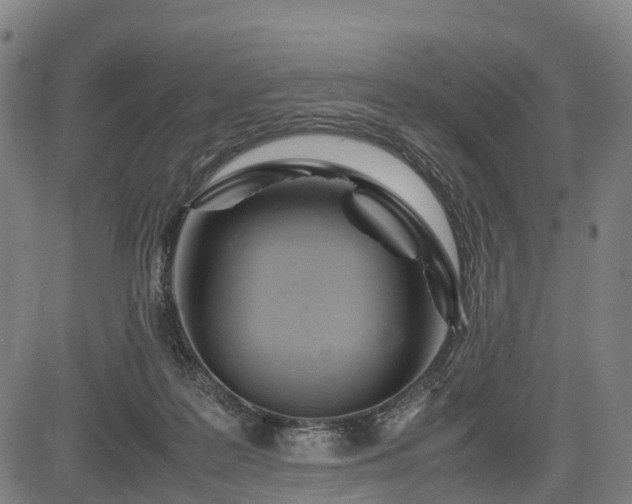 X0000083620219200702201324