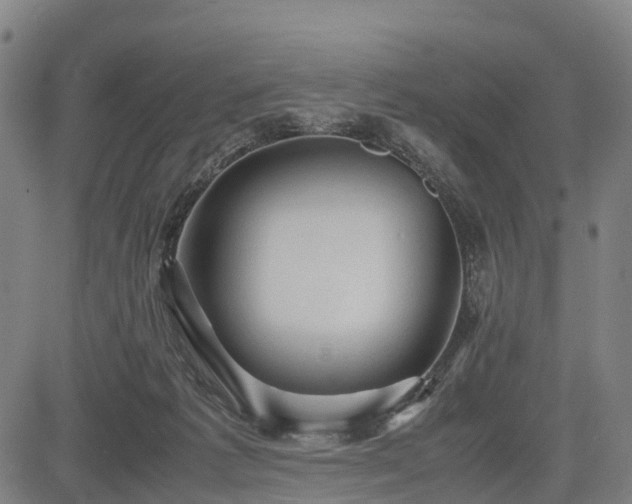 X0000083620221200702201324