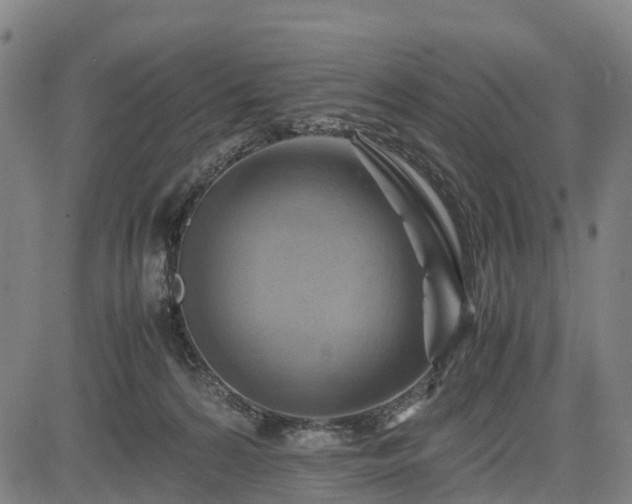 X0000083620224200702201324