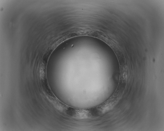 X0000083620226200702201324
