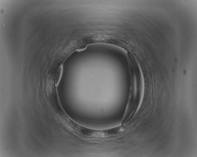 X0000083620227200702201324
