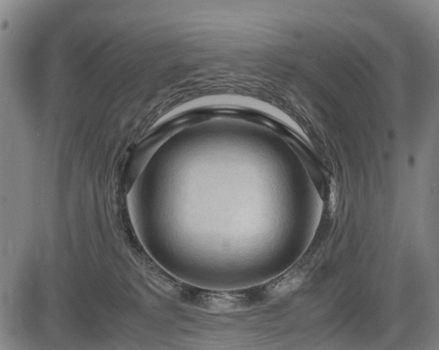 X0000083620229200702201324