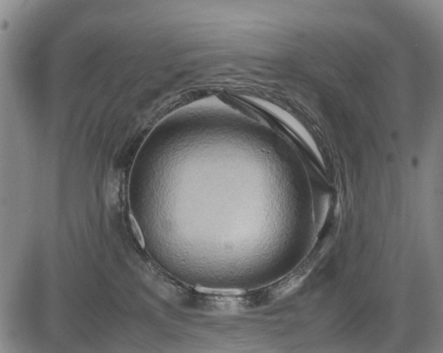 X0000083620233200702201324