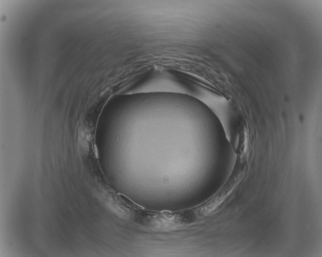 X0000083620235200702201324