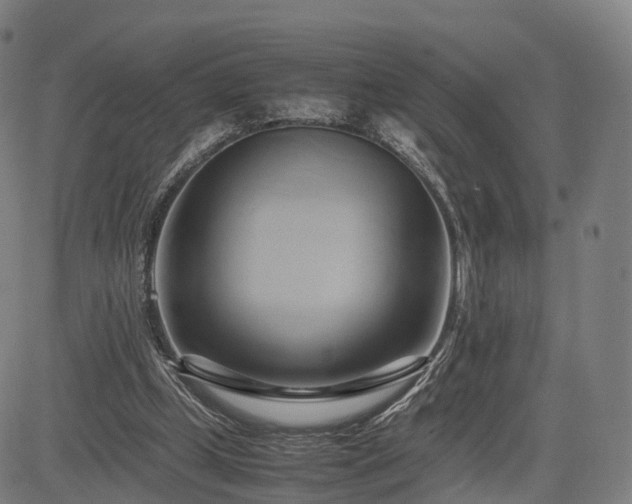 X0000083620249200702201323