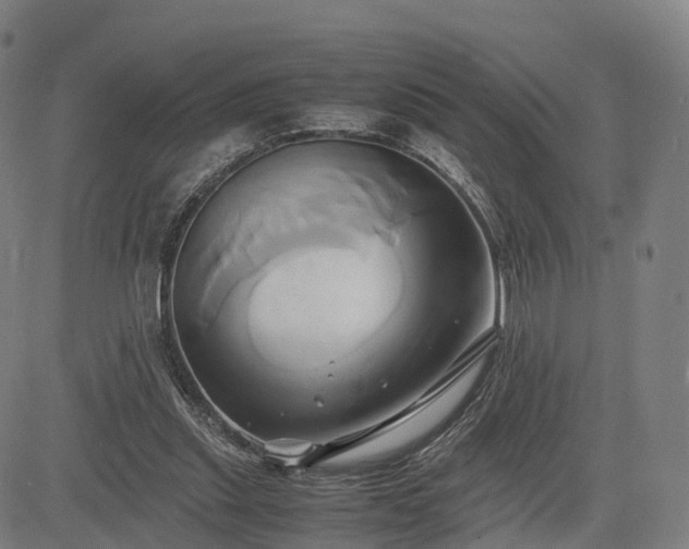 X0000083620253200702201323