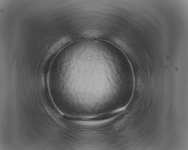 X0000083620254200702201323