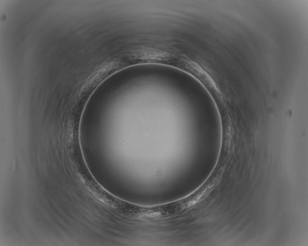X0000083620257200702201323
