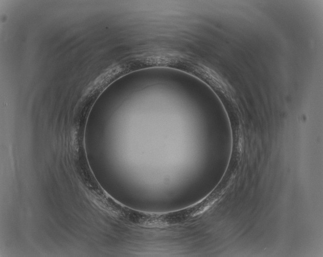 X0000083620258200702201323
