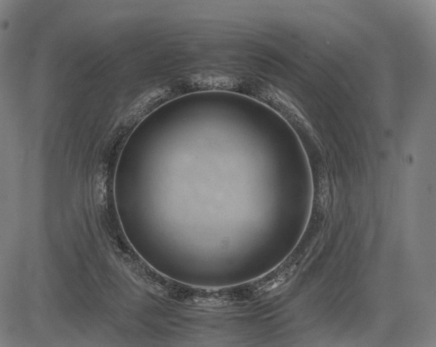 X0000083620259200702201323
