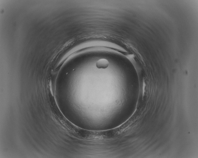 X0000083620260200702201323